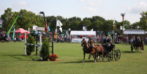 afb-3297-Landbouwshow2015Opmeer_29857868