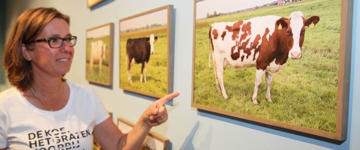 Stedelijk Museum met Koe-kast op Landbouwshow Opmeer