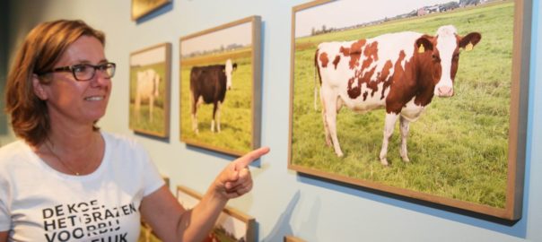 Stedelijk Museum met Koe-kast op Landbouwshow Opmeer