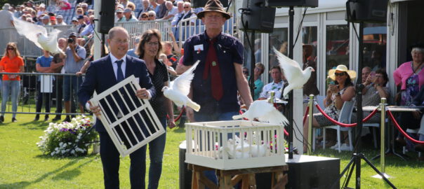 opening met duiven